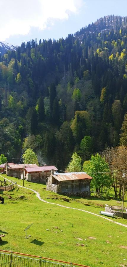 Ayder Vesile Otel Exteriér fotografie